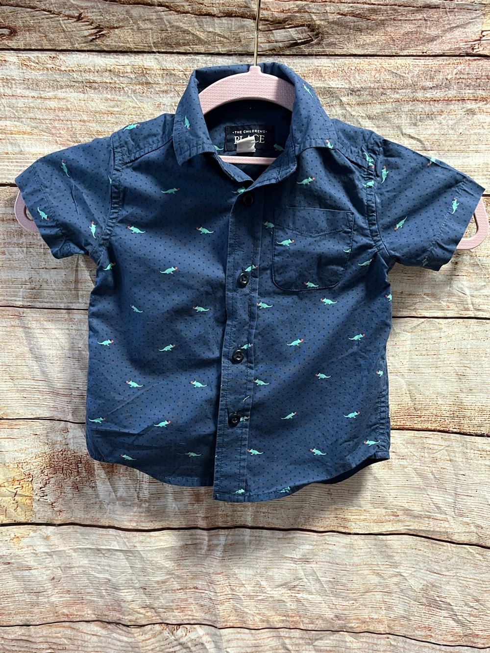 The Children’s Place iguana shirt-Boys 12/18 months